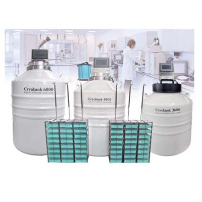 Small gas phase liquid nitrogen container